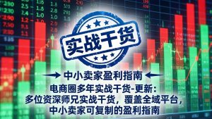 电商圈多年实战干货-更新5月20：多位资深师兄实战干货/覆盖全域平台，中小卖家可复制的盈利指南-资源站