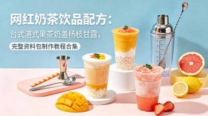 网红奶茶饮品配方:台式港式果茶奶盖杨枝甘露,完整资料包制作教程合集-资源站