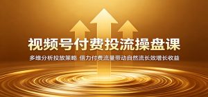 视频号付费投流操盘课：多维分析投放策略，借力付费流量带动自然流长效增长收益-资源站