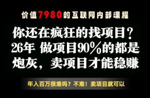 26年请不要疯狂的找项目了,卖项目远比你想象的暴利,你也可以月入10W+【揭秘】-资源站