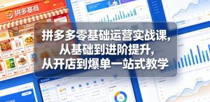 拼多多零基础运营实战课,从基础到进阶提升,从开店到爆单一站式教学-资源站
