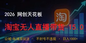 2026网创天花板,淘宝无人直播带货15.0,公域+私域双玩法,日入1k+,不违规不封号【揭秘】-资源站
