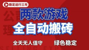 海外游戏全自动搬砖，日入1k+，全天无人值守，绿色稳定！【揭秘】-资源站