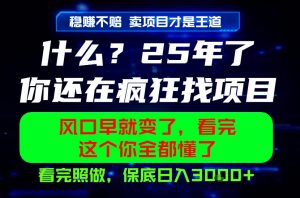 26年,请不要疯狂的找项目做了!卖项目才是真的稳賺不赔,看完照做,保底日入1k+【揭秘】-资源站