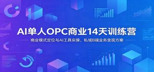 AI单人OPC商业14天训练营:商业模式定位与AI工具实操,私域B端业务变现方案-资源站