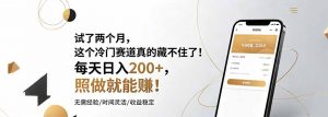 试了两个月,这个冷门赛道真的藏不住了!每天日入200+,照做就能赚!-资源站