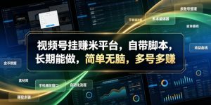 视频号挂賺米平台,自带脚本,长期能做,简单无脑,多号多賺【揭秘】-资源站
