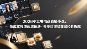 2026小红书电商直播小课，低成本投流截流玩法，多类目爆款商家经验完整拆解教学-资源站
