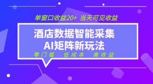 2026酒店数据采集ai智能矩阵新风口 低成本 高收益 当天见收益 单窗口20+-资源站