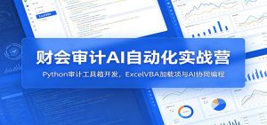 财会审计AI自动化实战营：Python审计工具箱开发，ExcelVBA加载项与AI协同编程-资源站