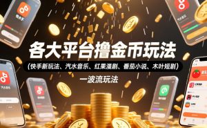 各大平台撸金币玩法(快手新玩法、汽水音乐、红果漫剧、番茄小说、木叶短剧)，一波流玩法(收费398元的教程)-资源站
