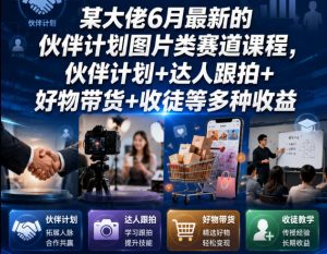 某大佬6月最新的伙伴计划图片类赛道课程，伙伴计划+达人跟拍+好物带货+收徒等多种收益-资源站
