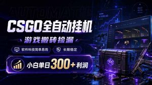 CSGO全自动挂机，游戏搬砖捡漏，软件科技简单易用，长期稳定，小白单日300+利润-资源站