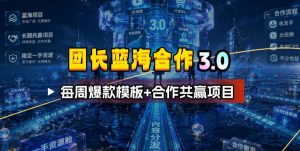 团长蓝海合作3.0，每周爆款模板+合作共赢项目-资源站