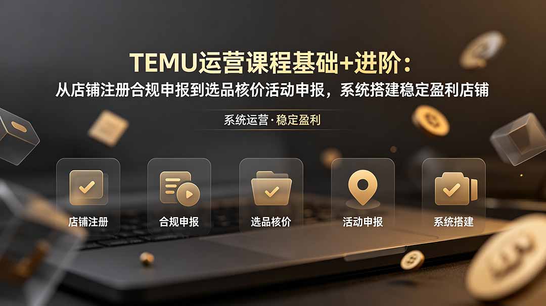 TEMU运营课程(基础+进阶-资源站