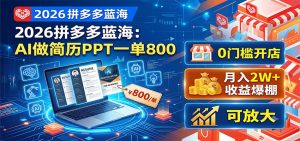 2026拼多多蓝海：AI做简历PPT一单800，0门槛开店，月入2W+，可放大-资源站