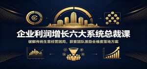 企业利润增长六大系统总裁课:破解传统生意经营困局,获客团队激励全维度落地方案-资源站