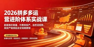 2026拼多多运营进阶体系实战课|新版拖价稳量、付费转投产、自然流矩阵、高投产链接起店全链路教程-资源站