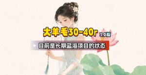 【大羊毛】几分钟30-40r，【流量体联盟】，可以矩阵，操作无脑简单-资源站