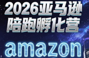 跨境米亚·亚马逊陪跑孵化营(更新7月)-资源站