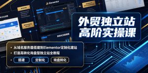 外贸独立站高阶实操课｜从域名服务器搭建到Elementor定制化建站，打造高转化询盘型独立站全教程-资源站
