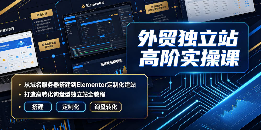 外贸独立站高阶实操课｜从域名服务器搭建到Elementor定制化建站，打造高转化询盘型独立站全教程-资源站