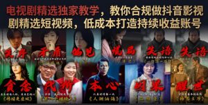 电视剧精选独家教学，教你合规做抖音影视剧精选短视频，低成本打造持续收益账号-资源站