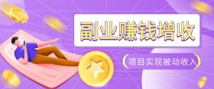 985十年互联网老兵亲测：2026年多个真实落地副业项目，手把手带你搭建被动收入管道(淘宝无人直播、TK拉新、代运营、CSGO……)【揭秘】-资源站