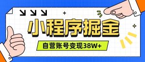 微信小程序掘金，团队自营小程序累计变现38W+，稳定运营三年，一部手机即可操作-资源站