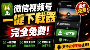 手机端也可下载微信视频号了?完全免费使用,一键解析视频号原视频和封面视频号下载助手v1.1-资源站