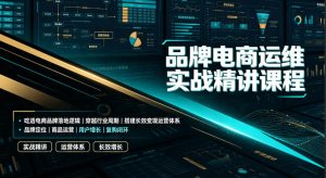 品牌电商运维实战精讲课程｜吃透电商品牌落地逻辑、穿越行业周期、搭建长效变现运营体系-资源站
