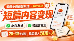 番茄小说最新短篇玩法,稳定日入500+!副业必看,小白可玩,限时开放【揭秘】-资源站