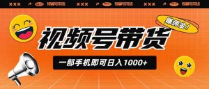 视频号带货，一部手机即可日入1000+，无人直播玩法轻松躺赚带货佣金-资源站