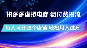 拼多多虚拟电商，微付费投流玩法，每人可开四个店，轻松月入过1W【揭秘】-资源站
