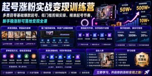苗子起号涨粉实战变现训练营,多类目零基础爆款起号、精准起号节奏、新手稳涨粉可落地变现全课(更新0719)-资源站