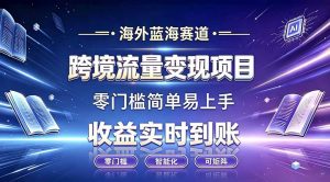 海外蓝海赛道 跨境流量变现项目 收益实时到账 零门槛简单易上手-资源站