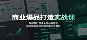 商业爆品打造实战课：拆解各行各业头部品牌案例，吃透爆款底层逻辑落地运营教程-资源站