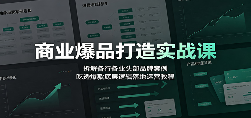 商业爆品打造实战课：拆解各行各业头部品牌案例，吃透爆款底层逻辑落地运营教程-资源站