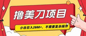 撸美刀，单日收入2000+，小白可做-资源站