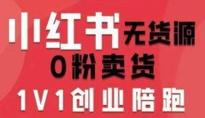 小红书无货源0粉电商课，开店准备、选品策略、笔记撰写、视频剪辑、数据分析、账号打造、资料文档(更新26年7月24日)-资源站