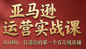 skyla·亚马逊运营实战课(更新7月)-资源站