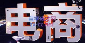 幕思城·淘宝培训VIP课程(更新7月)-资源站