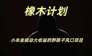 橡木计划,小投入撬动高回报的风口野路子项目,一天投入2小时左右-资源站