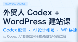 大卫·外贸人Codex + WordPress建站课(更新8月)-资源站