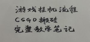 游戏挂机全流程笔记分享，CSGO游戏搬砖，小白看了当天学会见收益-资源站