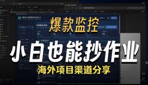 抖音爆款数据监控工具_海外网盘拉新渠道-资源站