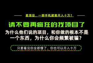 为什么做项目的人大多都是炮灰？为什么只有卖项目才能稳？看完你也可以月入10W+【揭秘】-资源站