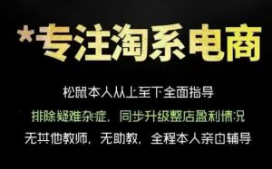 松鼠会电商VIP课程,从基础布局到高阶优化,助你掌握淘宝运营逻辑,提升店铺流量与转化(更新0815)-资源站