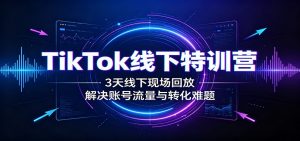 TikTok线下特训营:3天线下现场回放,解决账号流量与转化难题-资源站