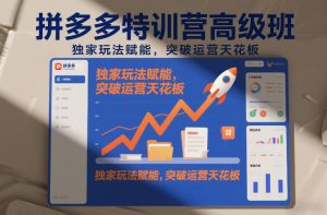 拼多多特训营高阶班,独家玩法赋能,突破运营天花板(更新260819)-资源站